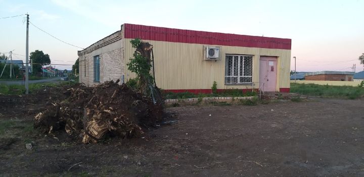 В этой части города Мензелинск началась расчистка территории от деревьев