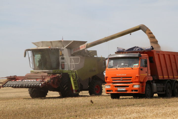 Зерно стоит тысячу рублей, но вот цены на топливо кусаются