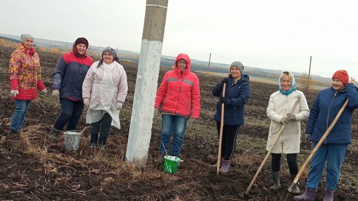 В Урусовском сельском поселении коллективными усилиями провели субботник