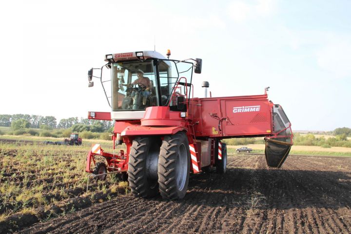КФХ “Давлетов” осталось выкопать 20 гектаров картофеля