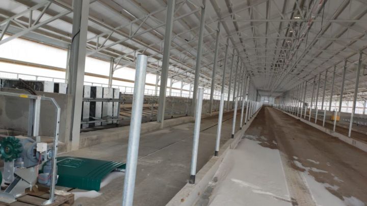 В Татарстане молочный комплекс на 6 тысяч голов КРС получил заключение о соответствии