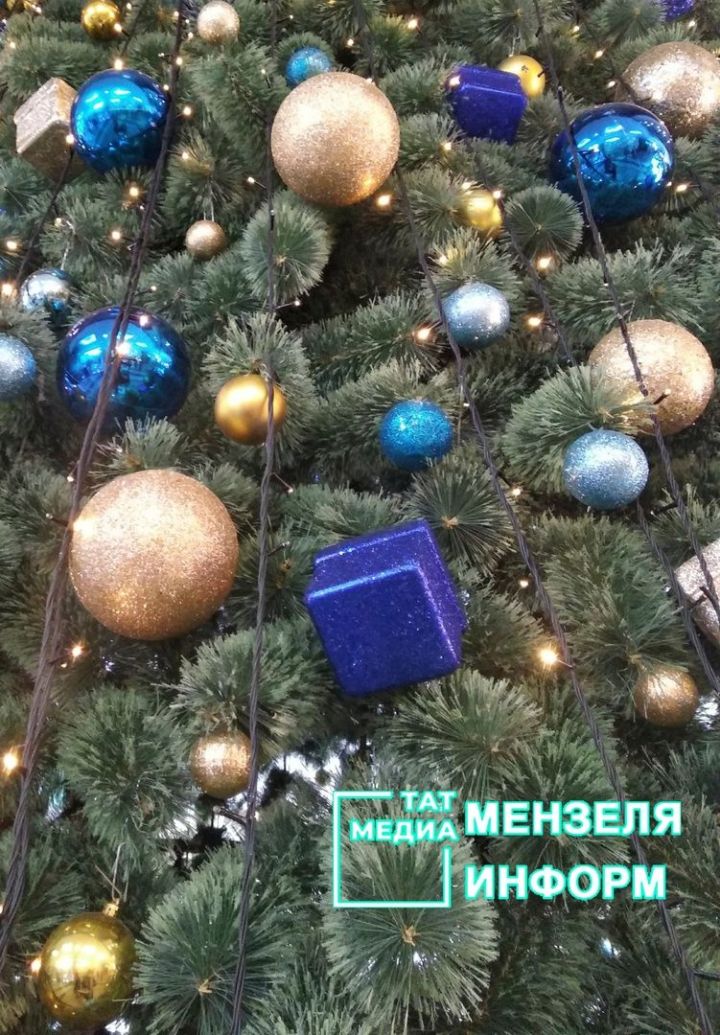 Рустам Минниханов поручил организовать новогодние елки для детей мобилизованных на самом высоком уровне