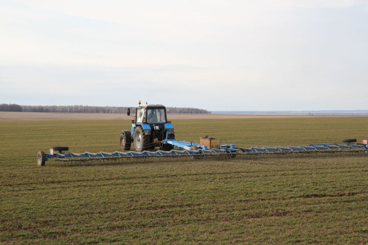 Весенний труд мензелинцев окупится осенью на зернотоках