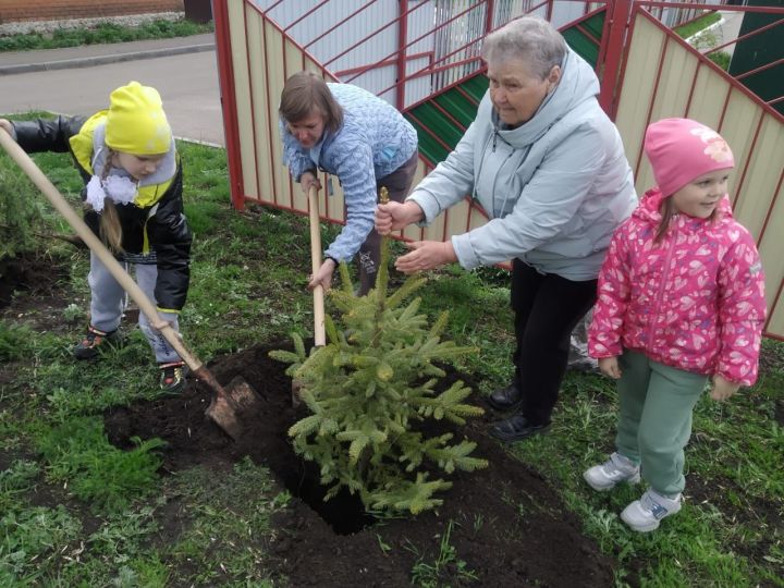 Бабушки сажали деревья, внуки помогали