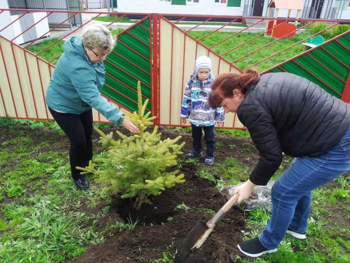 Бабушки сажали деревья, внуки помогали