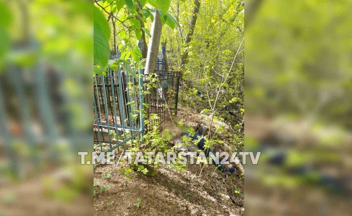 В Татарстане на кладбище обнаружен труп, висевший на дереве
