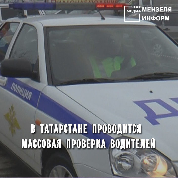 В Татарстане проводится массовая проверка водителей