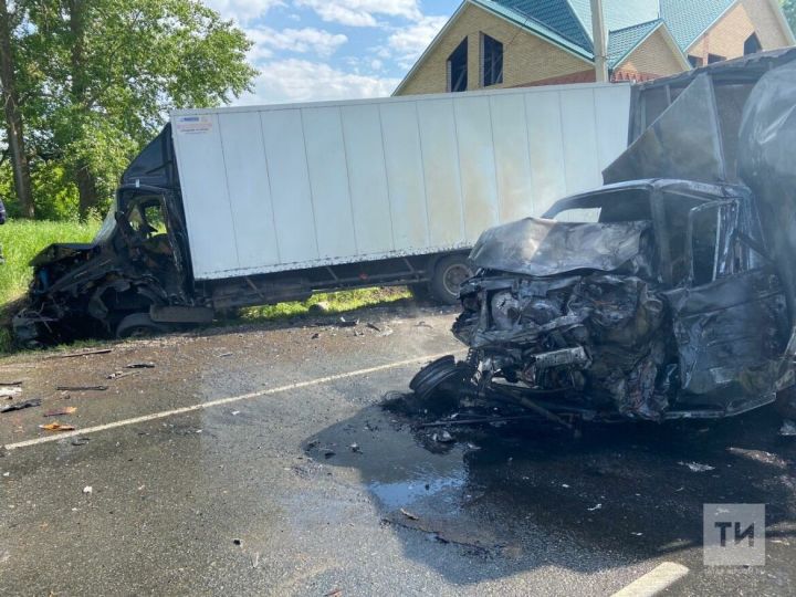 В Татарстане "Газель" загорелась после лобового столкновения с другим грузовиком, один погибший