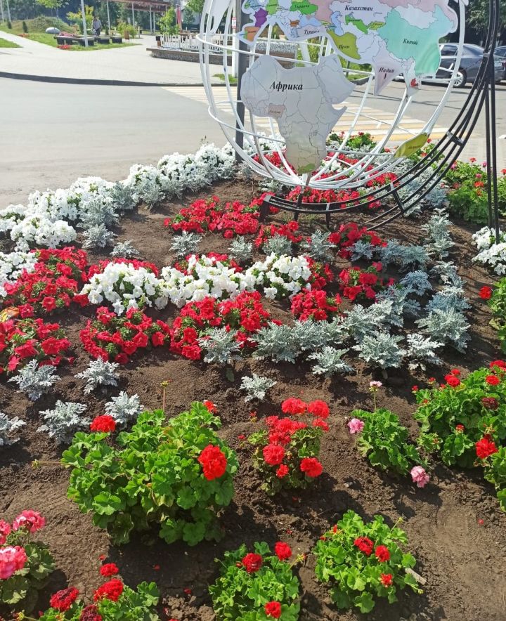 На территории города Мензелинск проводится конкурс «Самый красивый цветник»