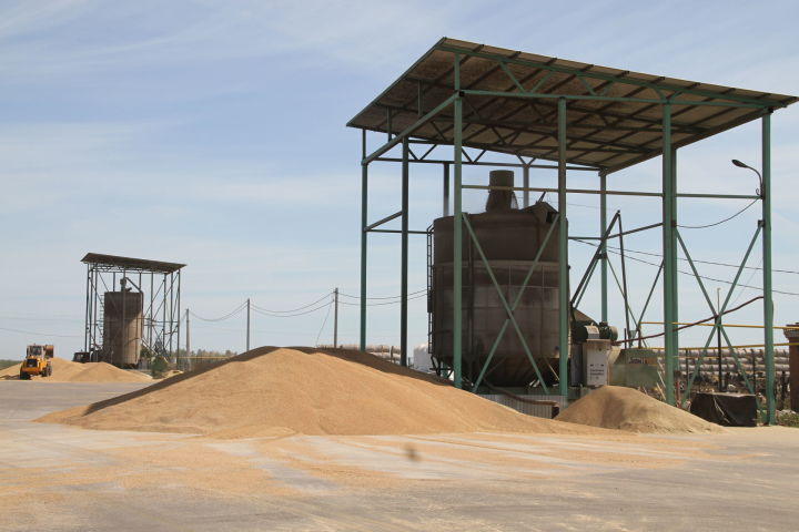 На зернотоки хозяйств Мензелинского района завезено более 17455 тонн зерна