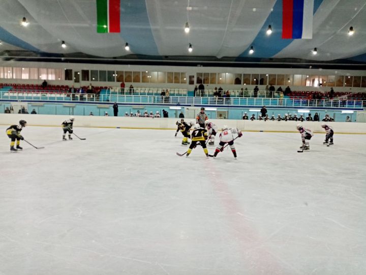 В Первенстве Мензелинского района по хоккею победила команда из Бавлов