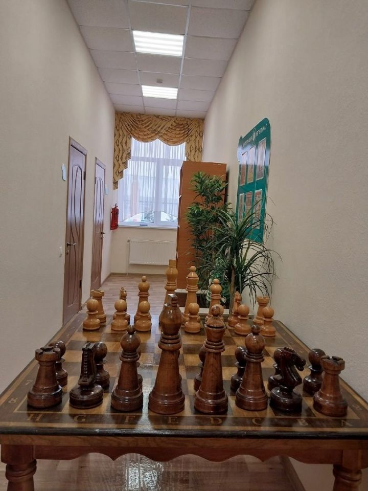 Президент фонда “БлагоДарение” Фарит Салихов сделал уникальный подарок любителям шахмат села Топасево