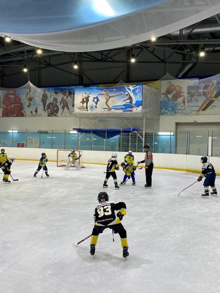 В Мензелинске состоялся турнир по хоккею, посвященный Году национальных культур и традиций