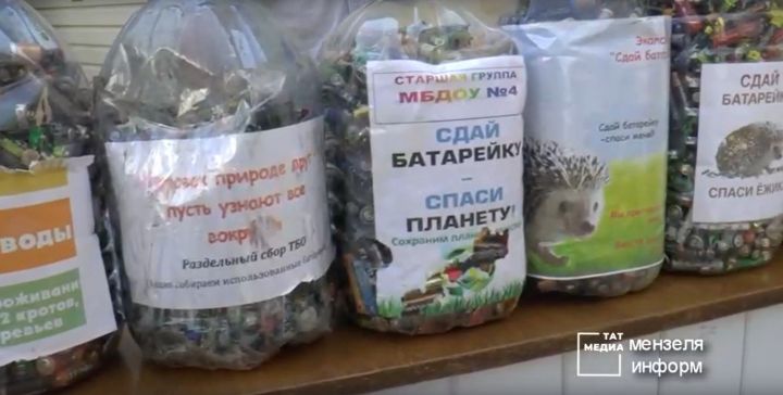 «Гринта» вывезла больше двухсот килограмм батареек из школ и детских садов Мензелинска