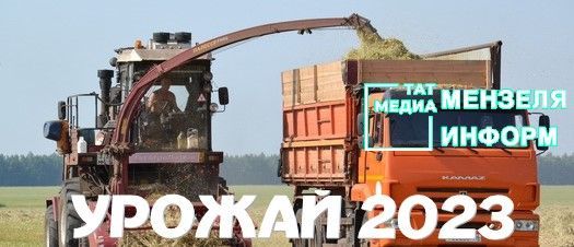 Минзәлә кырларында терлек азыгы хәзерләү дәвам итә