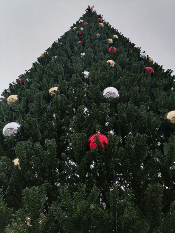 23 декабрь көнне шәһәрнең үзәк чыршысы ачыла