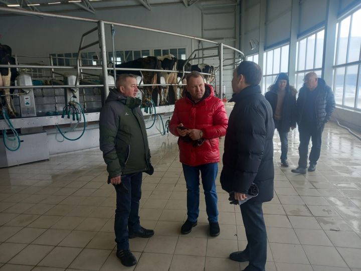 Начальник Главного управления ветеринарии РТ посетил животноводческие комплексы Мензелинского района