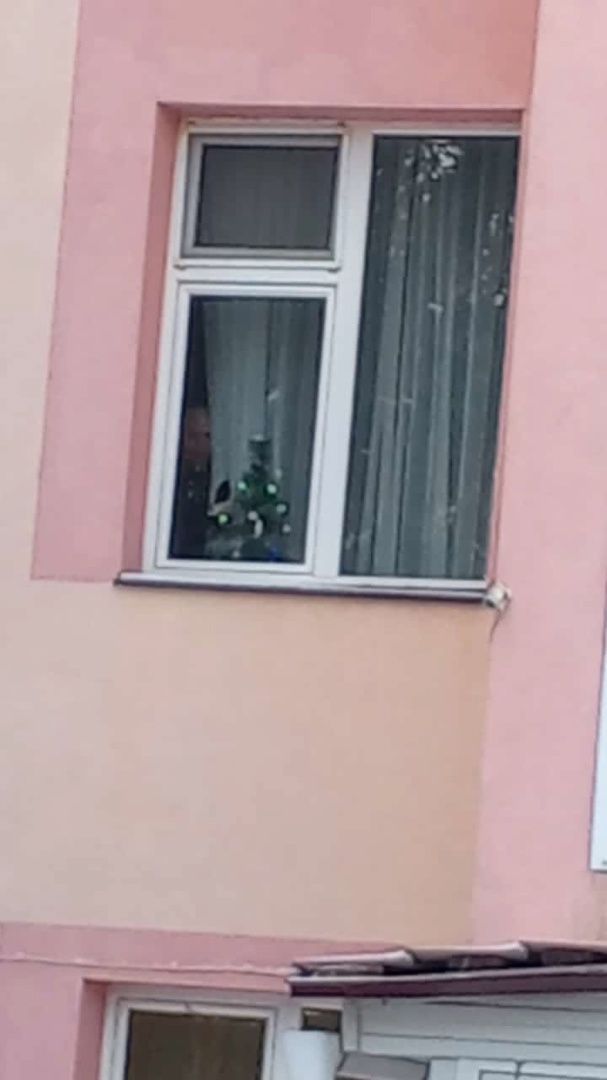 Мөслимә Гайниева — «Салисә апага»