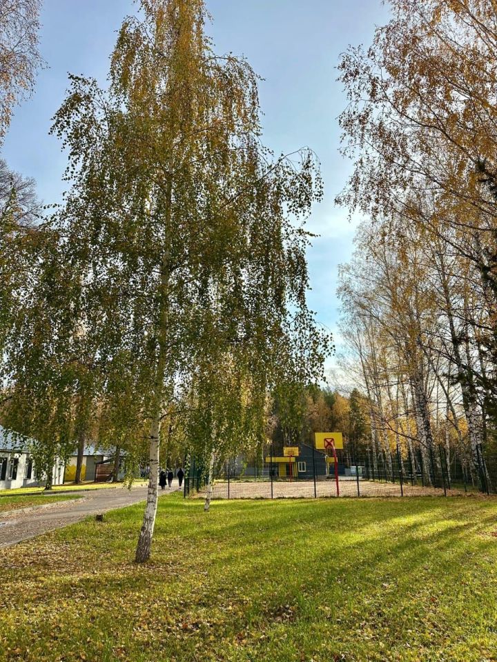 Татарстанда көзнең җылы тору сәбәпләре аталды