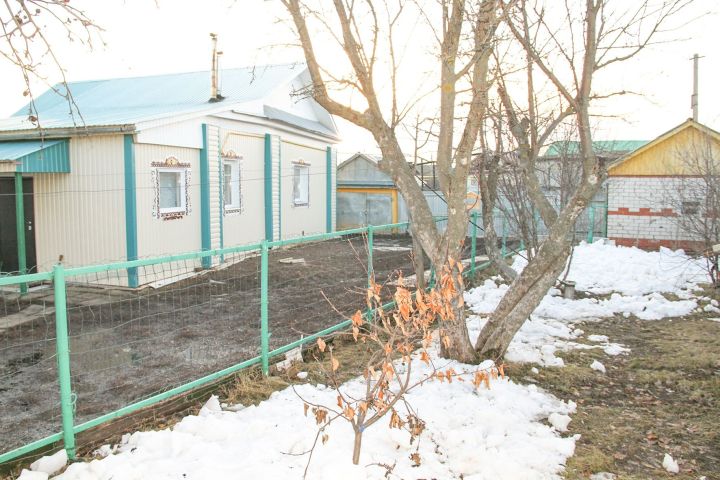 Вазелином можно защитить деревья от вредителей