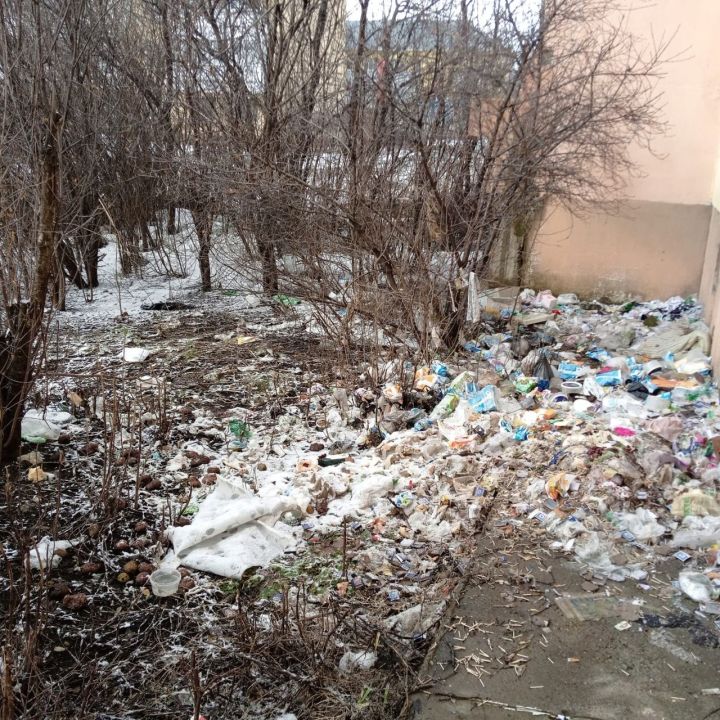 Жители многоквартирного дома города Мензелинска устроили свалку за домом