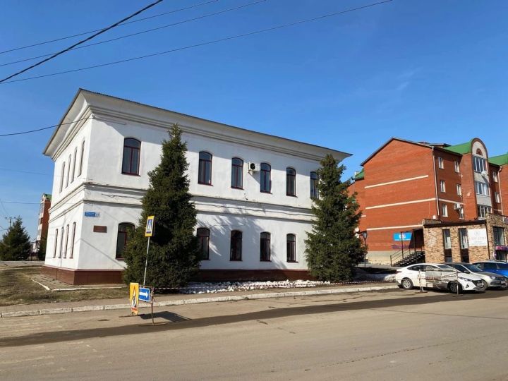 Спиленные ели не означают потерю красоты
