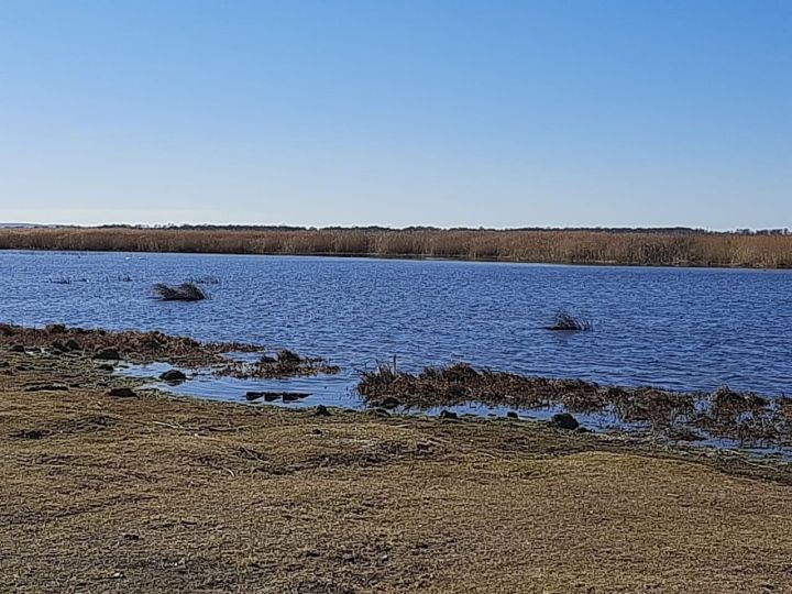Водные биоресурсы под защитой: мензелинец оштрафован за нарушение правил рыбалки