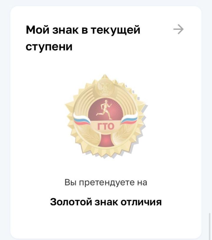 Выпускники Мензелинска уже видят знаки отличия ВФСК ГТО в личных кабинетах