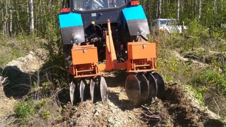 В Татарстане проведены агротехнические мероприятия по уходу за лесными культурами на площади 11,3 тысячи гектаров