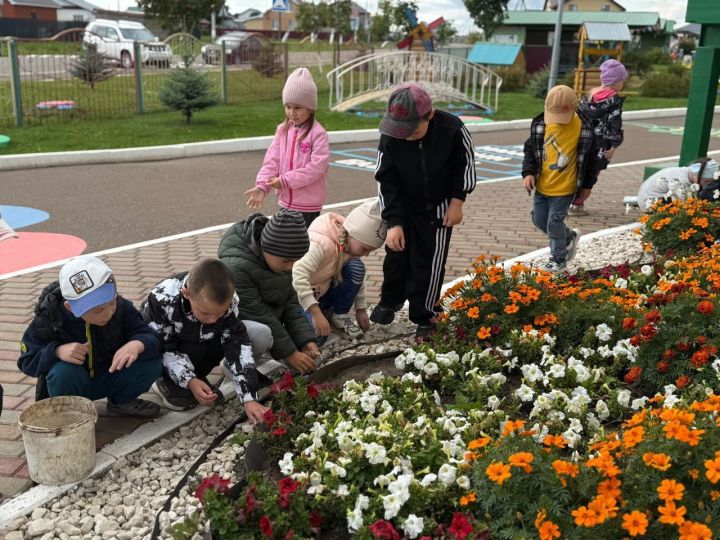 Воспитанники детского сада «Шатлык» учатся трудолюбию