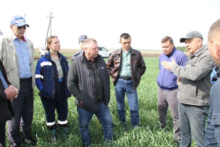 Минзәлә районында 23657 гектар мәйданда чәчү эшләре башкарылган