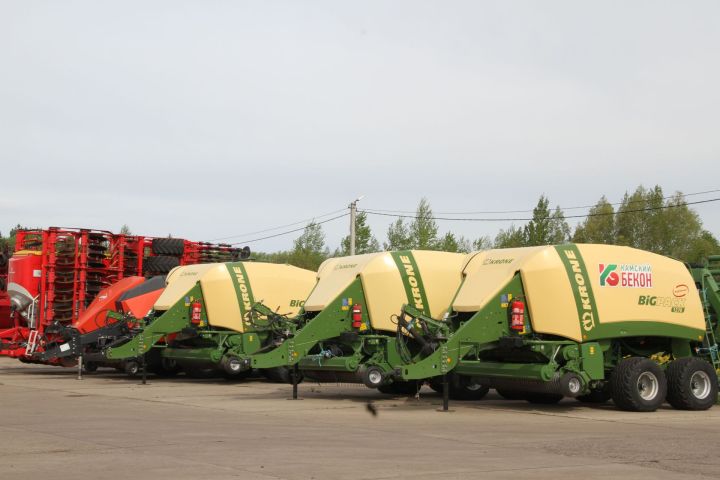 Минзәлә районы хуҗалыклары арасында «Кама беконы» на тиңнәр юк