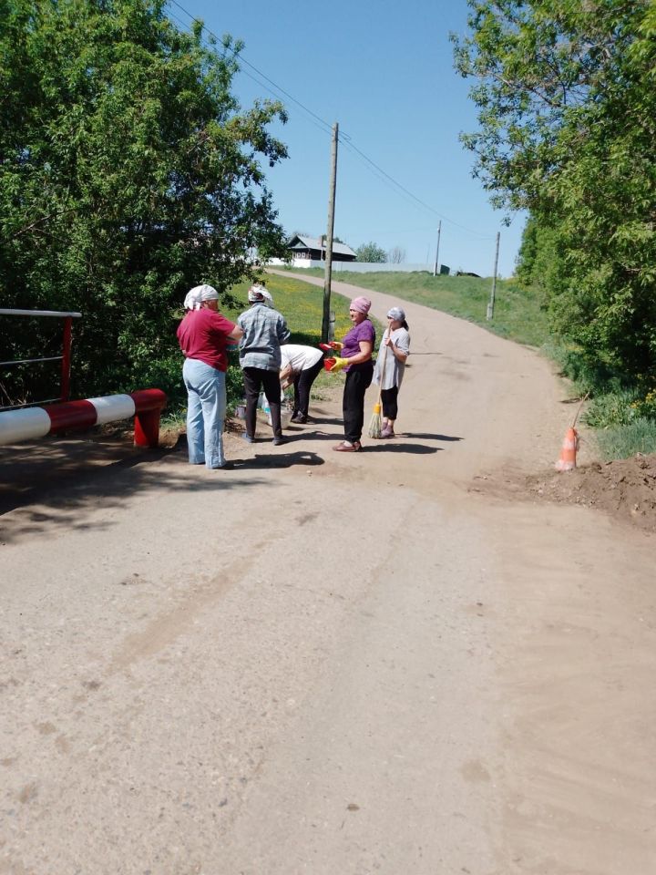 Дәвек авылында яшәүчеләр күперне төзекләндерделәр