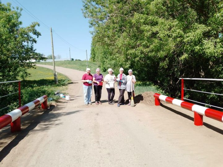 Дәвек авылында яшәүчеләр күперне төзекләндерделәр