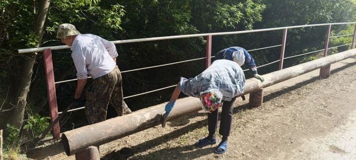 Дәвек авылында яшәүчеләр күперне төзекләндерделәр