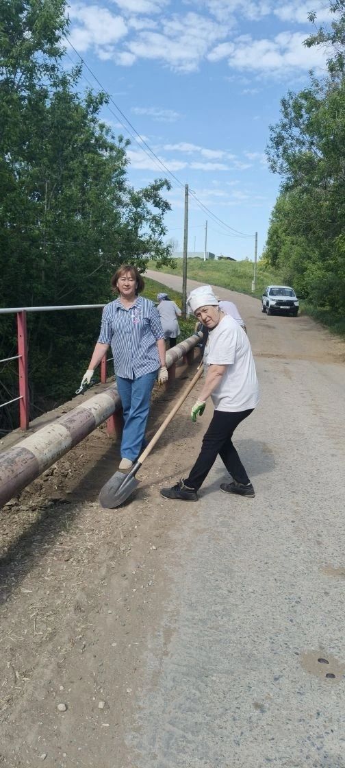 Дәвек авылында яшәүчеләр күперне төзекләндерделәр