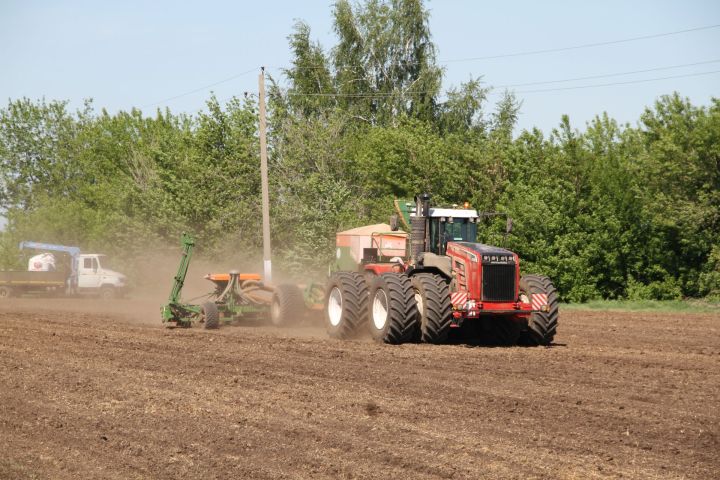 Минзәлә районы хуҗалыкларында чәчү төгәлләнү алдында
