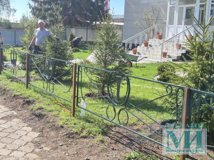 Минзәлә урманчылары үз офислары каршына яшь агачлар утырта