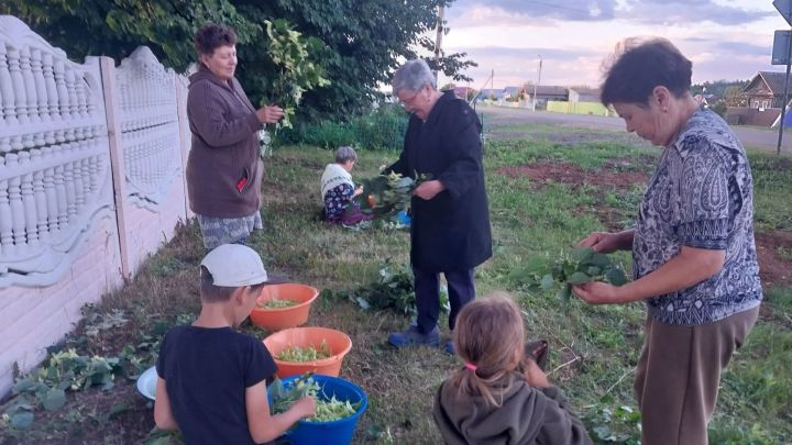 Минзәләдә табигать байлыгын файдага кулланалар
