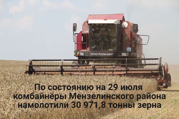 Минзәлә районы комбайнчылары 30971,8 тонна ашлык суктырып алдылар