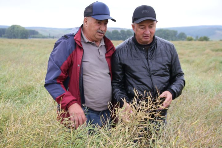 Минзәлә районында пай җирләре өчен ашлыкны бирүне тизләтергә кушылды