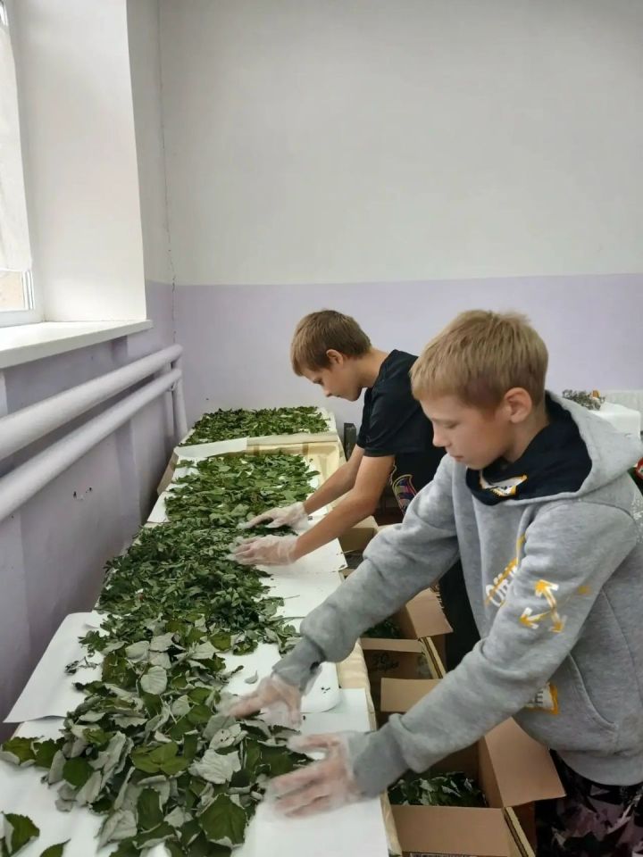 Мензелинцы собрали душистые травы для участников СВО