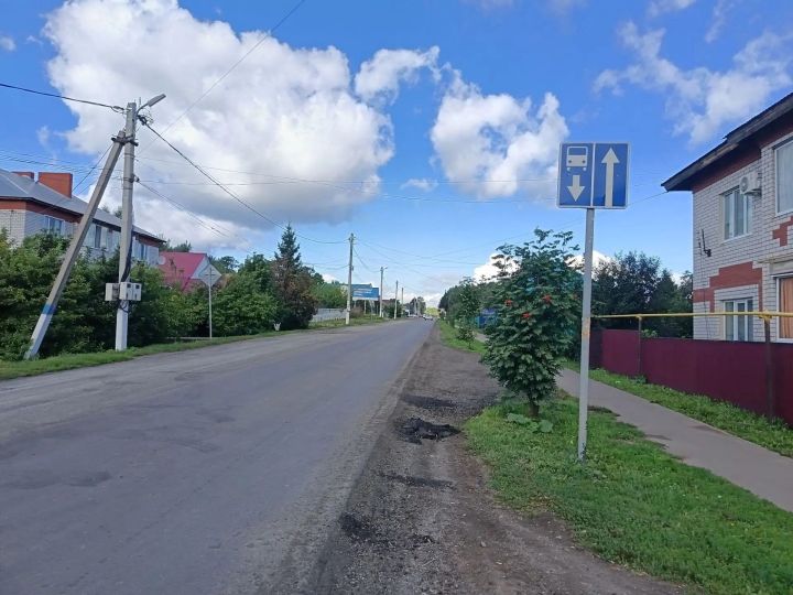 Госавтоинспекция Мензелинского района напоминает о безопасности детей на дорогах