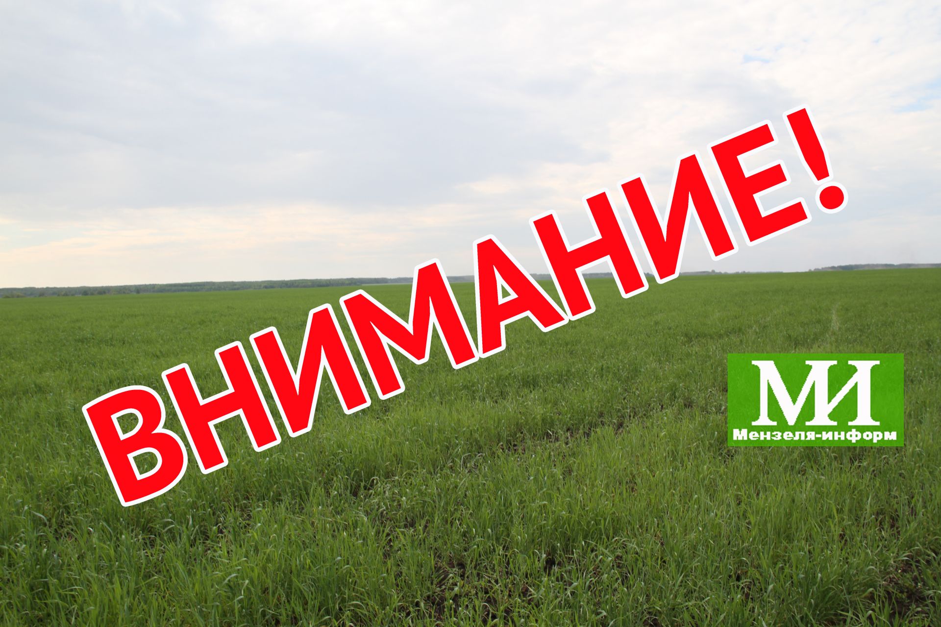 С 26 по 30 июня 2019 года ночью на территории ООО «Калмурзина» на поле около деревни Матвеевка будет проводится опрыскивание посевов горчицы против вредителей