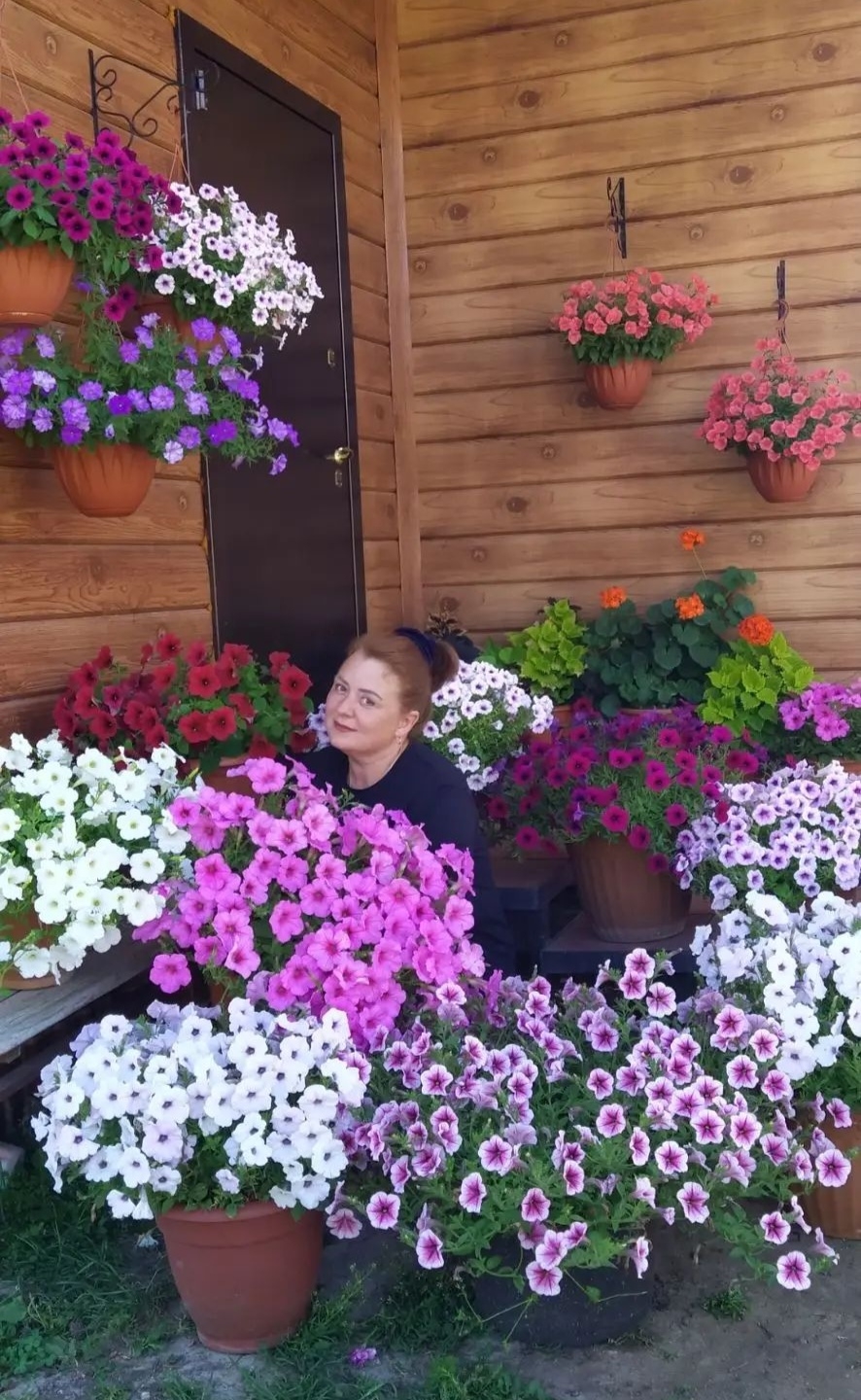 Еще одно увлечение Юлии —петунии.