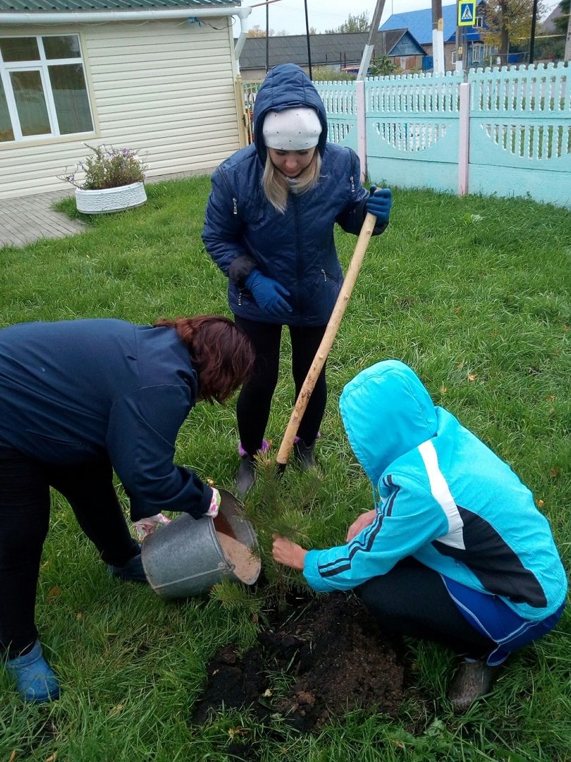 В детских садах Мензелинска проходят субботники