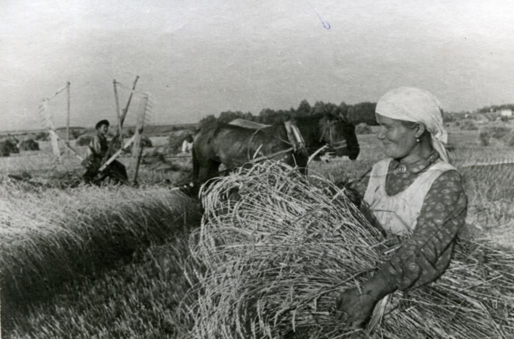 Сельское хозяйство во время великой отечественной войны презентация