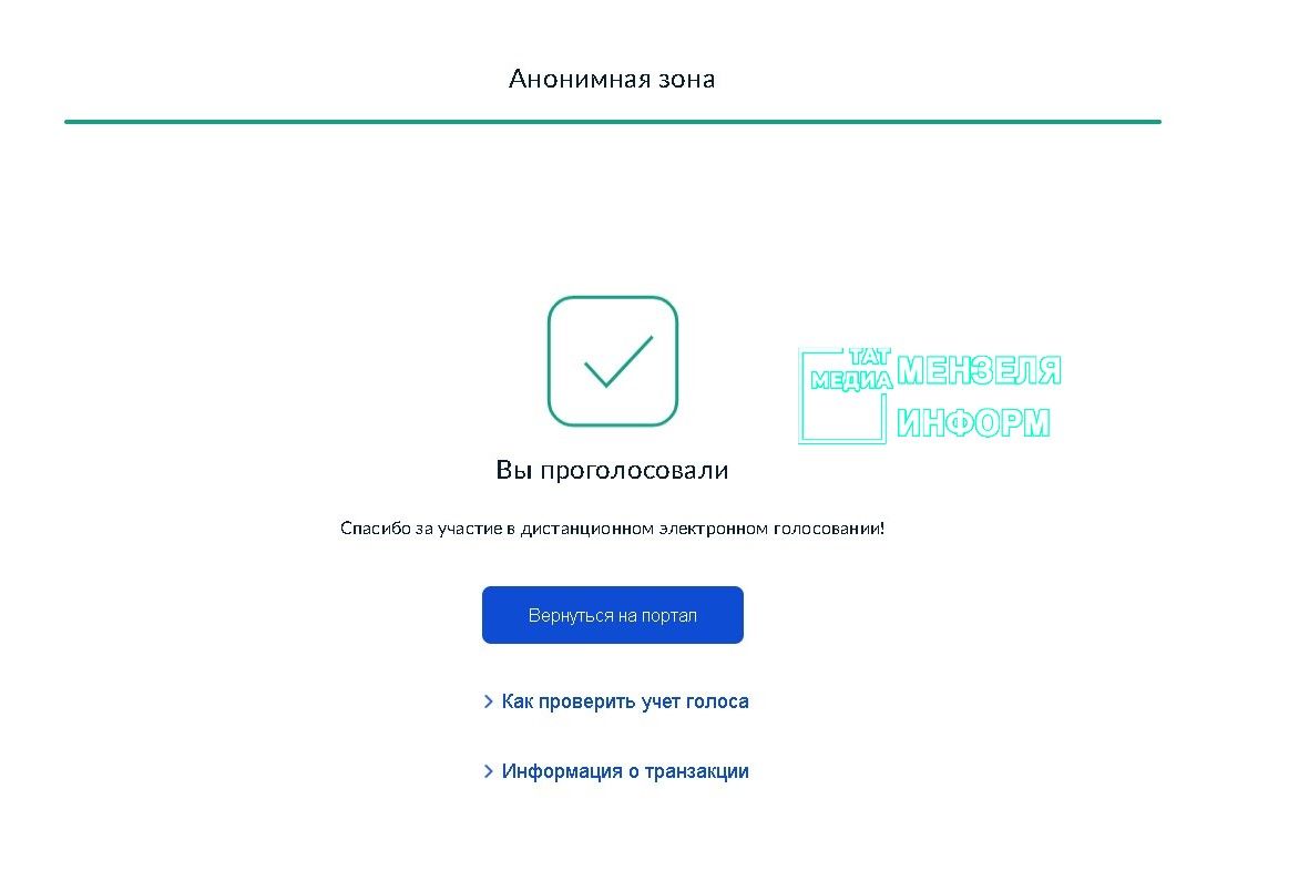 Житель Мензелинска проголосовал в ДЭГ
