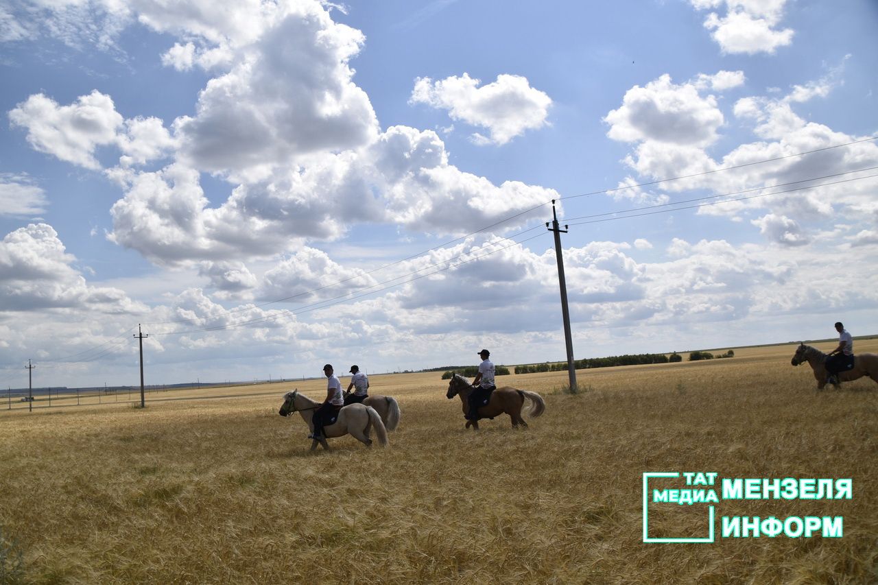 Татарские кони проскакали по Мензелинской земле