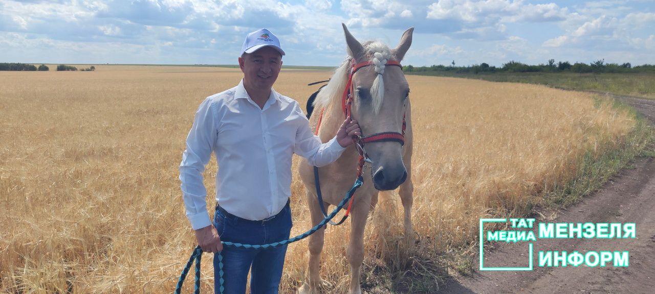 Татарские кони проскакали по Мензелинской земле